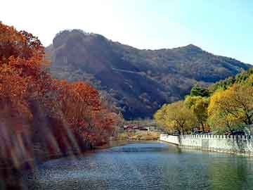 澳门天天免费精准大全，平板水位计